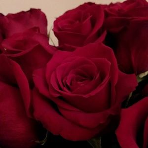 Meet your Posher, Alessandra